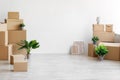 Stack of different cardboard boxes with things and green plants in pots on floor on gray wall background