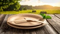 Stack of Disposable Paper Plates and Forks on Rustic Table with Greenery and Sunset Royalty Free Stock Photo