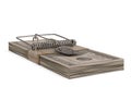 A stack of dollar and mousetrap isolated on black background 3D illustration