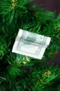 Stack of dollars on the green tree