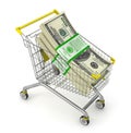 Stack of dollars in the shopping cart. Royalty Free Stock Photo