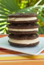 Stack of Double Chocolate Peanut Butter Ice Cream Sandwiches Royalty Free Stock Photo