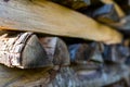 Stack of dried beech firewood close up shot, shallow depth of field