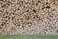 Stack of dry birch firewood Royalty Free Stock Photo