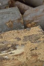 Stack of dry firewood