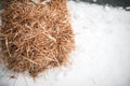 Stack of dry grass on a surface covered with snow Royalty Free Stock Photo