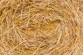 Stack dry hay. Hay texture. Hay bale is stacked in large stack. rural autumn with hay. straw summer background. haystack Royalty Free Stock Photo