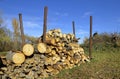 Stack of drying firewood Royalty Free Stock Photo
