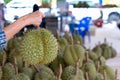 A stack of Durian monthong. Durian is king of fruit is famous Asian fruit.