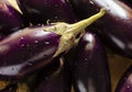 Stack of eggplant vegetable