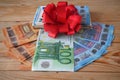 Stack of euro cash money and red bow background, money gift concept Royalty Free Stock Photo