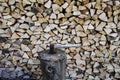 Stack of firewood Royalty Free Stock Photo