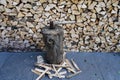 Stack of firewood Royalty Free Stock Photo