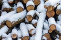 Stack of firewood covered with snow outdoors. Stack of wood cut. Snow on the timber stack. Wooden log store under snow white Royalty Free Stock Photo