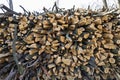 A stack of firewood Royalty Free Stock Photo