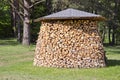 Stack firewood fuel in garden Royalty Free Stock Photo
