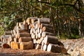 Stack of firewood logs