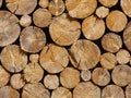 Stack of firewood or pile of wood front view Royalty Free Stock Photo