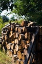 A stack of firewood, sawn wood in the backyard. Royalty Free Stock Photo