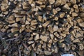 A stack of firewood Royalty Free Stock Photo