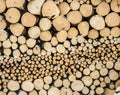 A stack of firewood texture