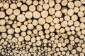 A stack of firewood texture