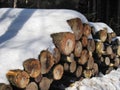 Stack of firewood under the snow