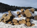 Stack of firewood under the snow