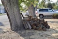 Stack of firewood under the trees outside Royalty Free Stock Photo