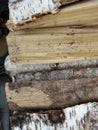 Stack of firewood, wood logs texture background.Pile of chopped fire wood prepared for winter