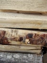 Stack of firewood, wood logs texture background.Pile of chopped fire wood prepared for winter Royalty Free Stock Photo