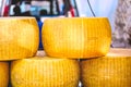 Stack of five wheeles of french, chedder cheese Royalty Free Stock Photo