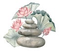 Stack of flat Pebbles with pink Lotuses and leaves. Hand drawn watercolor illustration of balancing stones and water Royalty Free Stock Photo