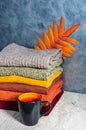 Stack of folded knitted women`s sweaters in warm colors, a mug of tea and autumn leaves on gray background. Copy space Royalty Free Stock Photo
