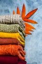 Stack of folded warm knitted women`s sweaters in warm colors and bright autumn leaves on gray background. Copy space Royalty Free Stock Photo