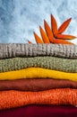 Stack of folded warm knitted women`s sweaters in warm colors and bright autumn leaves on gray background. Copy space Royalty Free Stock Photo