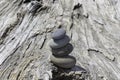 Stack of four smooth stones on a large driftwood log Royalty Free Stock Photo