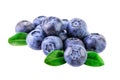 Stack of Blueberries isolated on white with clipping path Royalty Free Stock Photo