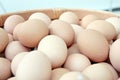 Stack of fresh egg Basket.