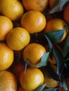 Stack of Fresh and Ripe Mandarin Oranges Royalty Free Stock Photo