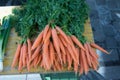 Stack of fresh and sweet orange carrots on a wooden table. Fresh carrots with green leaves.