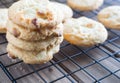 Stack of fresh white chocolate macadamia nut cookies Royalty Free Stock Photo