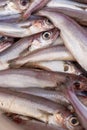 Stack of fresh Whiting sold at market