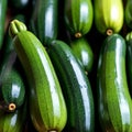 A stack of fresh zucchinis with deep green skin Royalty Free Stock Photo