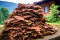 stack of freshly cut tobacco leaves ready for rolling Royalty Free Stock Photo