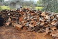 Stack of freshly cut wood logs