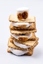 Stack of Freshly Toasted Smores with Marshmallow and Chocolate Vertical Dessert