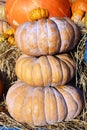 Stack of gourd Royalty Free Stock Photo