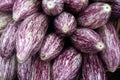 Stack of graffiti eggplants Royalty Free Stock Photo