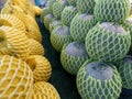 stack of green melon and yellow watermelon Royalty Free Stock Photo